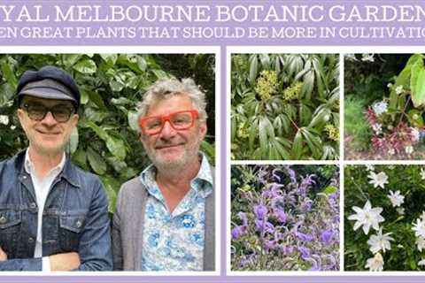 Royal Botanic Gardens Melbourne: seven great plants that should be in wider cultivation!