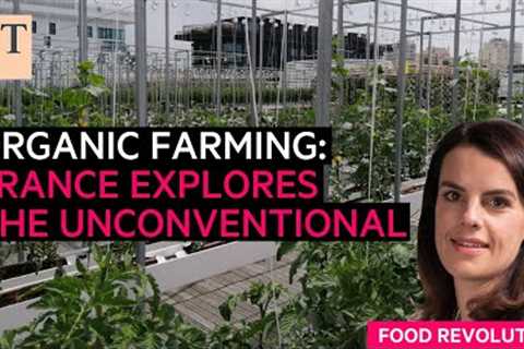 French organic farming explores the unconventional | FT Food Revolution