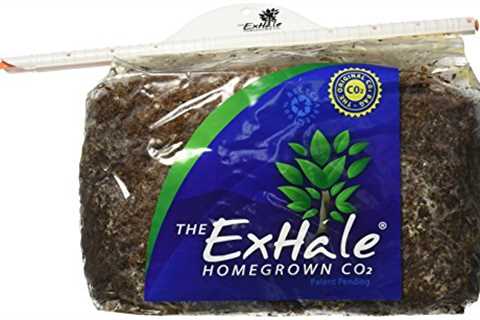 Exhale - Homegrown CO2 for Your Indoor Plants