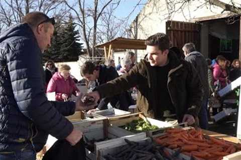 Organic farming: Austria, a European heavyweight