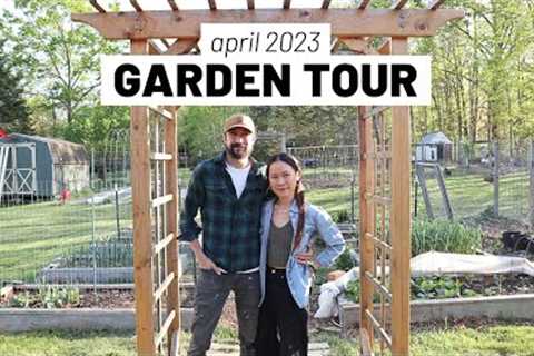 First full homestead garden tour of the year! April 2023, zone 7a // GroundedHavenHomestead