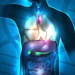 Iadademstat-Placebo Combo to Be Studied in Neuroendocrine Cancers
