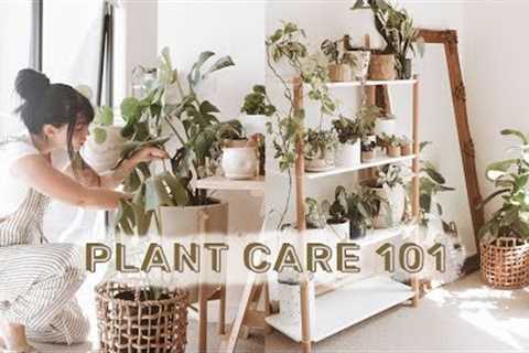 How To Care For Indoor Plants + GREENIFY YOUR SPACE