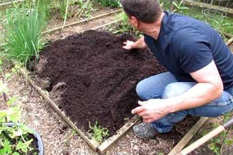 A Complete Guide to Digging & Planting Your First Vegetable Garden: Tomatoes, Peppers &..