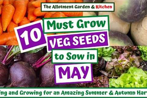 What Veg to Sow in May | Easy to Grow Veg for a Super Summer/Autumn/Winter Harvest #107