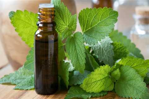 Essential Oils: Natural Remedies for Herpes