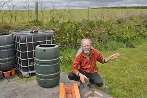 How to make a liquid fertiliser (that doesn''t smell bad!) from nettles or comfrey.