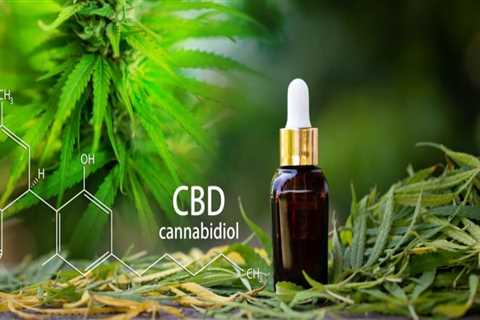 Can You Invest in CBD? A Comprehensive Guide for Investors