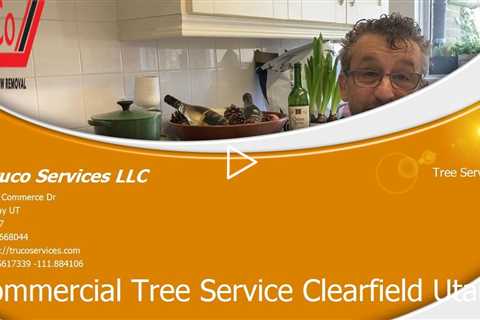 Tree-Services-Riverdale-Utah