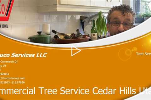 Tree-Services-La-Verkin-Utah