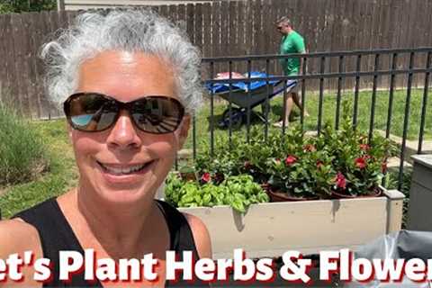 How To Plant Your Own Herb Garden | Beautiful Heat Tolerant Flowers For Around the Pool