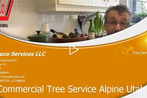 Tree-Services-Silver-Summit-Utah