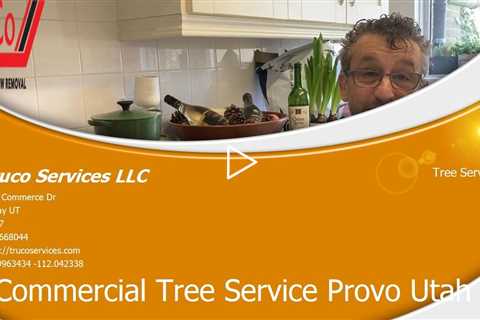 Tree-Services-Saratoga-Springs-Utah