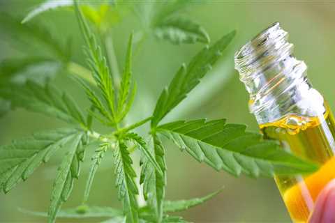 3 Different Types of CBD: What You Need to Know