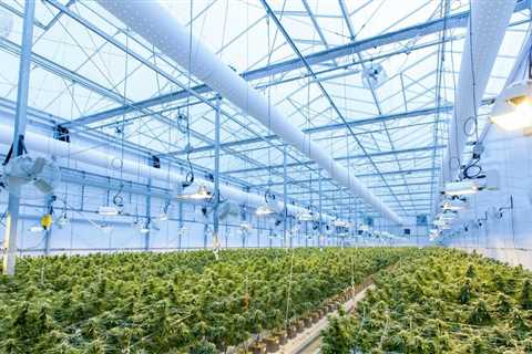 Large legal indoor farm  🇨🇦 Canada 📸 Tilray   #cannabis #stonerfam #legalizeIt…