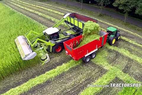 Harvesting fiber hemp | Claas Xerion 4000 | Vezelhennep oogst | DunAgro
