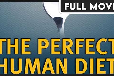 The Perfect Human Diet - Exploring the obesity epidemic - FULL DOCUMENTARY