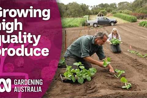 The complex process behind running an organic seed farm | Discovery | Gardening Australia
