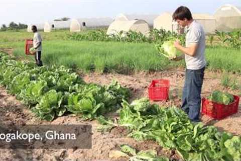 Volta Presentation: The Challenges of Organic Farming in Ghana