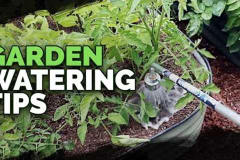 5 Watering Mistakes You''re Probably Making