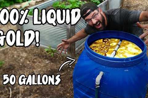 How to make LIQUID ORGANIC FERTILIZER for CHEAP with this COMPOST TEA BREWER!