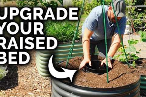 4 Dead-Simple DIY Project to Upgrade Your Raised Beds