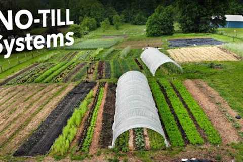 The No-Till Systems I Use (and why)