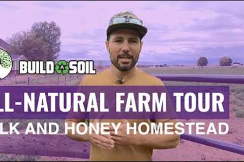 BuildASoil: ALL-NATURAL DAIRY FARM TOUR // MILK AND HONEY HOMESTEAD (THRIVE PROBIOTICS)