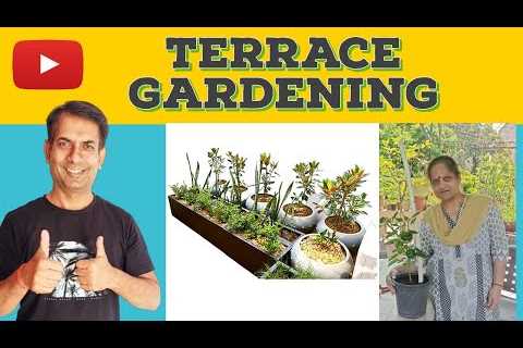 START GROWING YOUR OWN VEGETABLES & HERBS/ART & SCIENCE OF TERRACE GARDENING/REKHA..