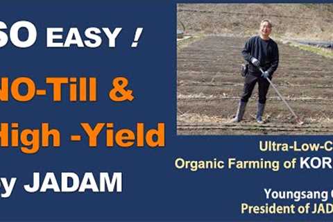 SO EASY! NO-Till & High-Yield Technology by JADAM. Organic Farming.