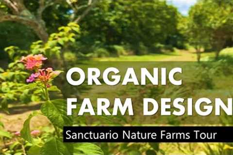 Organic Farm Design - Sanctuario Nature Farms Cavite