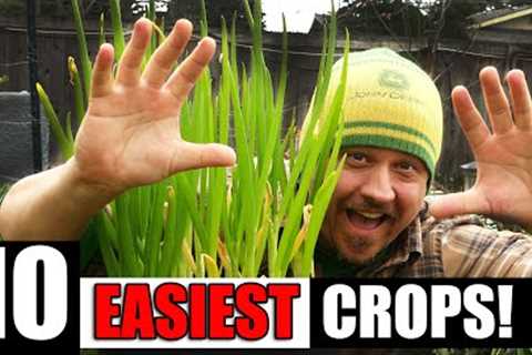 10 Easiest Crops To Grow For Beginners