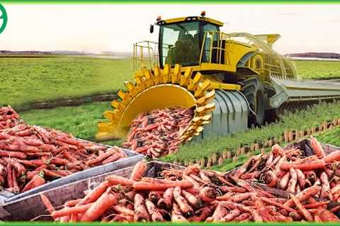 How Are 100 Million Carrots Grown And Harvested? | Agriculture Machines
