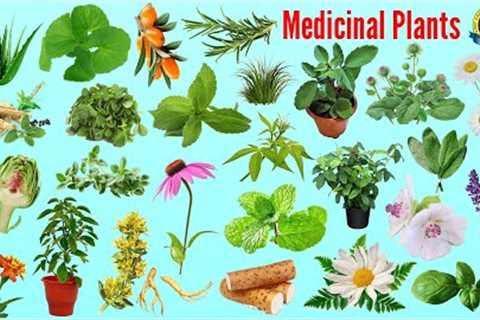 Medicinal Plants Name | Ayurvedic Plants Name In English With Picture| Easy English Learning Process