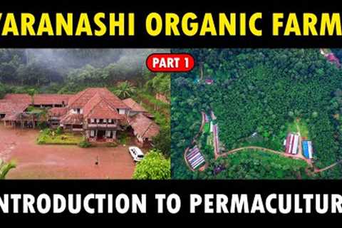 Introduction to PERMACULTURE FARMING | Varanashi Organic Farms | Sustainable Organic Farming