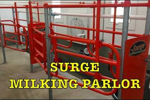 Surge Milking Parlor: Installed and Milking First Time! (Building Dairy Barn #16)