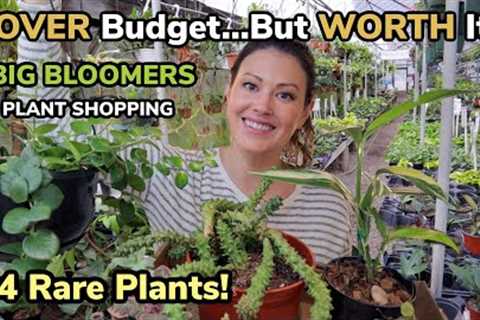$4 RARE PLANTS! Over Budget...But WORTH It Plant Shopping At Big Bloomers & Rare Plant Haul