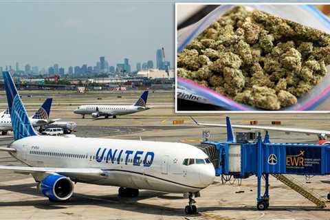 United Airlines workers allegedly ‘made $10K a week stealing pot from luggage’…