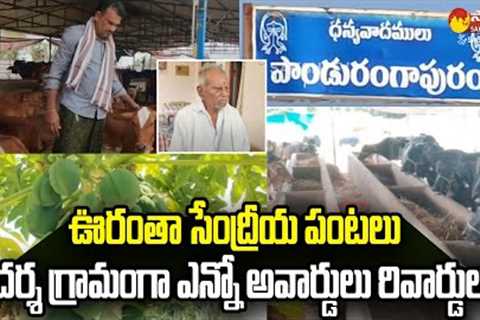 Farmers in Pandurangapuram Village Are Doing Fully Organic Farming | @SakshiTVSagubadi