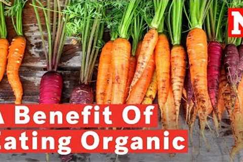 Eating Organic Food Could Prevent Cancer