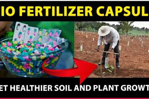 Organic Farming Solution: Bio Fertilizer Gelatin Capsules for Healthier Soil and Plant Growth