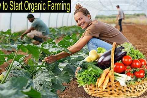 Organic Farming - How to Start Business Organic Farming - Organic Production Step by Step