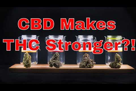 Contrary to Popular Belief, CBD Makes Marijuana Stronger