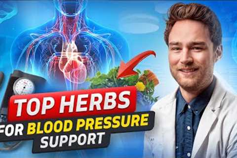 Top Herbs And Foods For High Blood Pressure And Heart Health Support