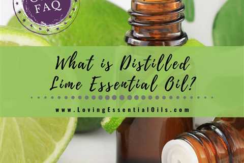 What Is Distilled Lime Essential Oil? Steam Distilled vs Cold Pressed