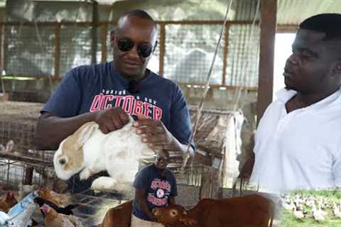 I Left America To Kenya To Be An Animal Farmer!