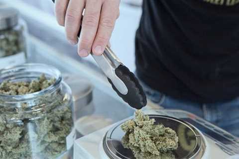 Maryland Marijuana Legalization Takes Effect This Weekend, With Sales Set To Launch As Governor..