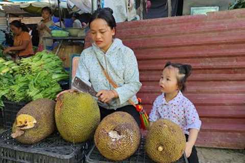 Harvesting garden Jackfruits go to the market sell-preserve precious medicinal herbs