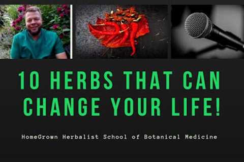 10 Plants That Can Change Your Life: Herbal Medicines In Your Own Backyard!