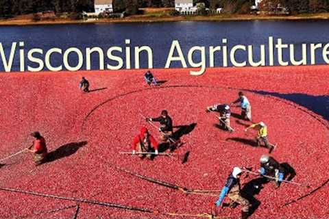 WISCONSIN Farmers Use 14,3 Million Acres Of Farmland This Way – Farming Documentary